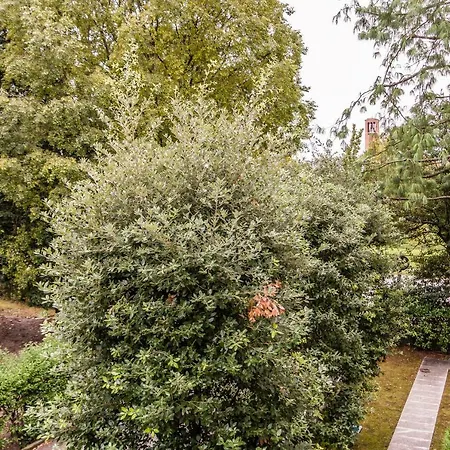 Appartement Ca Degli Assi Next To @treviso City Center